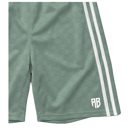 Antetokounbros Ανδρικό σορτς AB Basketball Shorts